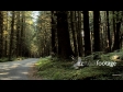 Forest Road, Oregon 3 1977